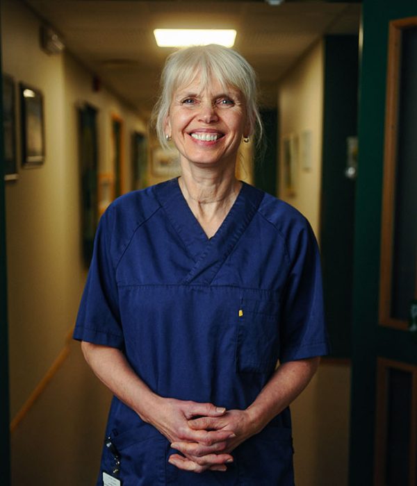 2025 - FILMPRODUKSJON